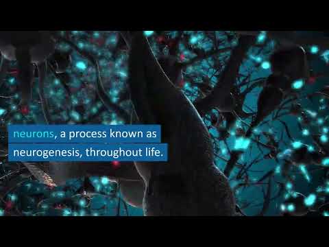 The Weird Wonders of the Human Brain: 10 Bizarre Facts You Never Knew