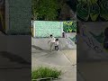 Skateboarding Skatekids Skateboard Feeroz Skatefunny Shorts Skateboarding Skatekids Skateboard Feeroz Skatefunny Shorts