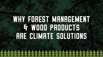 Why Forest Management And Wood Products Are Climate Solutions