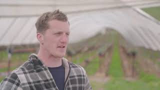 A Day In the Life Of - Fruit Farming