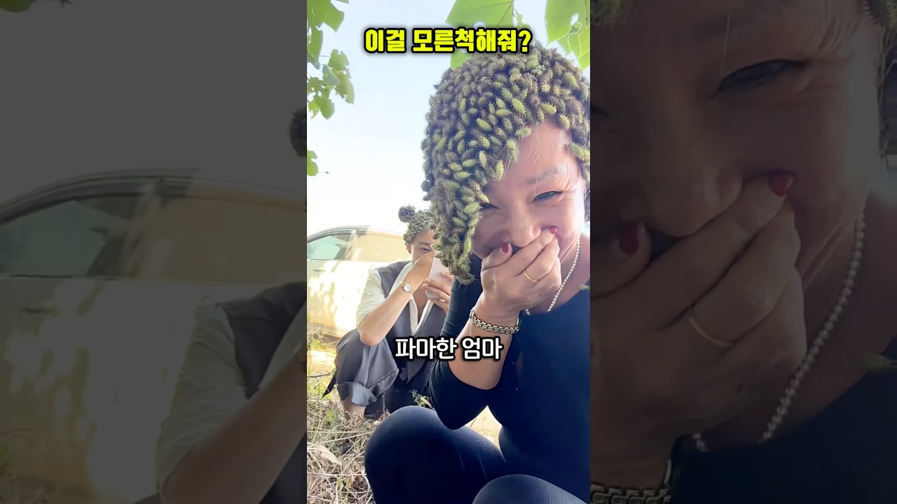 이걸 모른척해줘?