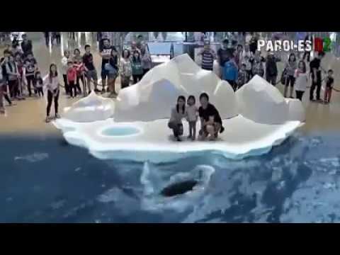 Amazing Dubai Mall 7D show - YouTube