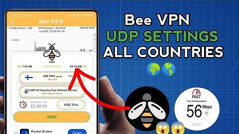 How To Setup Bee VPN with all Country UDP Settings for Secure Browsing