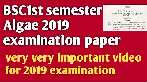 Bsc1 st year botany algae paper 2019 examination