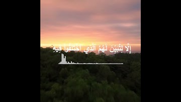 #عبدالرحمان_مسعد#سورة_النحل#تلاوة_الجديد#راحة_نفسية😭♾️💘