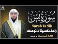 سورة يس كاملة القارئ أحمد ديبان     