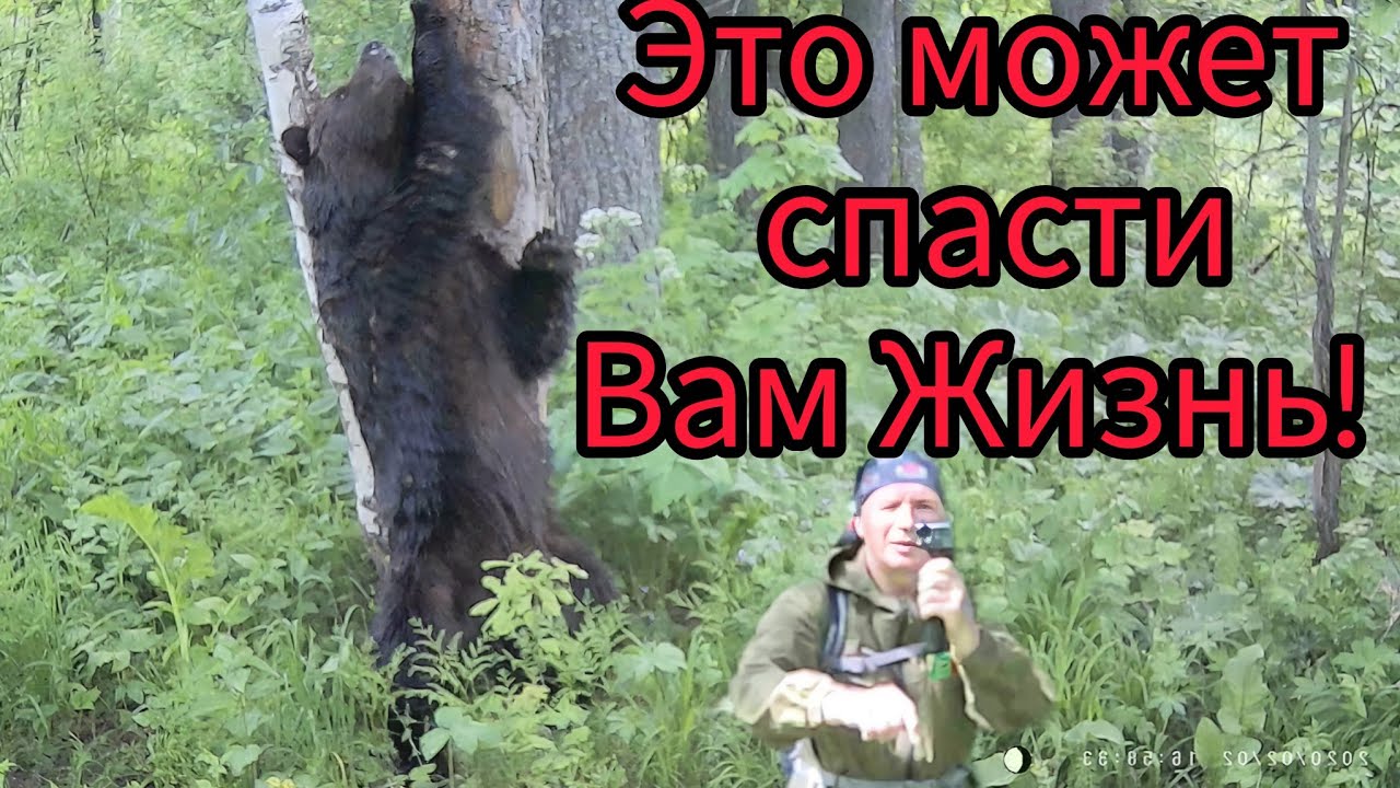 Не ходи в лес пока не узнаешь эту информацию! ВАЖНО ЗНАТЬ КАЖДОМУ!