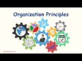 Organizational Principles Quiz