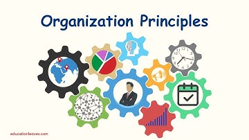 Organization principles | Principles of Organization