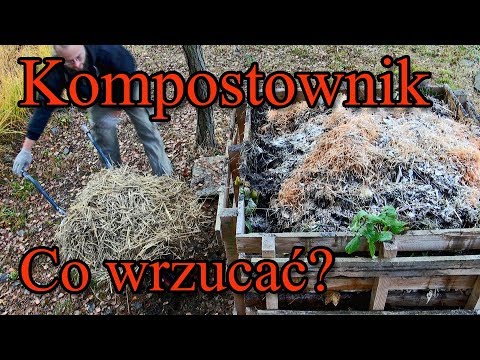 Wideo: Czy Jabłka Można Wrzucić Do Kompostownika?