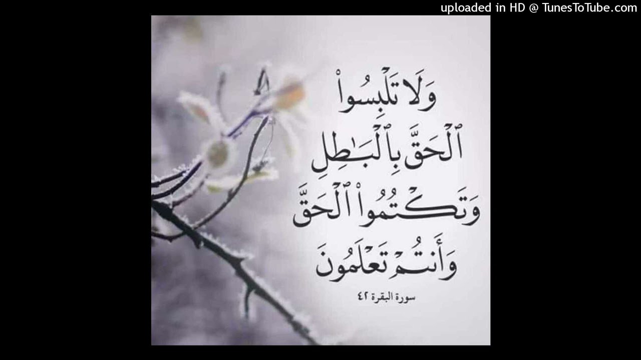 الشيخ محمد باجمال حول وثيقة مقبل الوادعي مع الرافضة