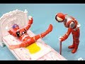 ☆宇宙戦隊キュウレンジャーキャラクターショー☆「ねぇ~!!シシレッドは赤ちゃんなの?おじいちゃんなの~( ^ω^)・・・?」Uchu Sentai KyuRanger Show☆