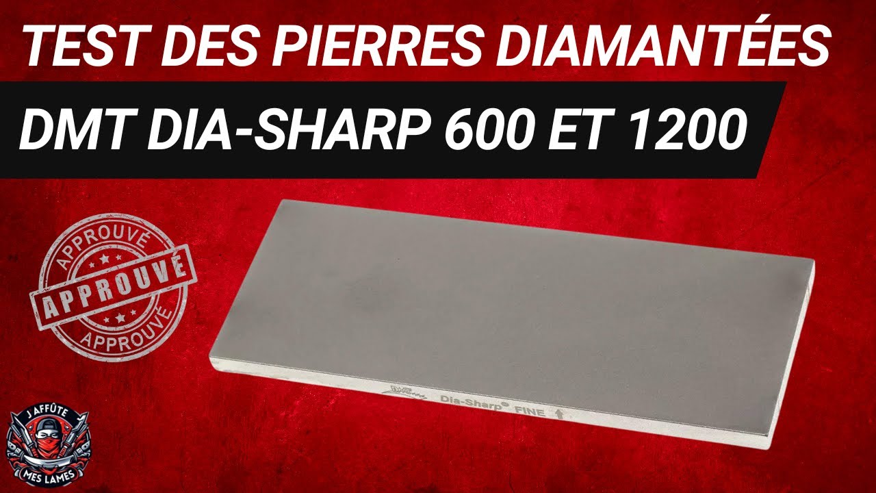 Pierre à Aiguiser Diamant DMT Dia-Sharp – Extra Grossier (60 Microns/220 Mesh), 29,2 Cm, Affûtage à Sec