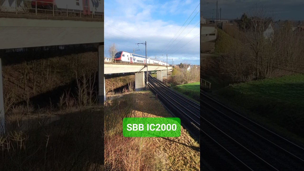 SBB IC2000 bei Othmarsingen im Kanton Aargau, Schweiz 2023 / #shorts