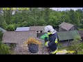 Interwencja strażaków u bocianów w Zastawkach (3 czerwca 2021)
