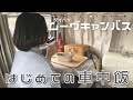 超快適な車中泊仕様のムーヴキャンバスでの1日。[車とわたしの暮らし]