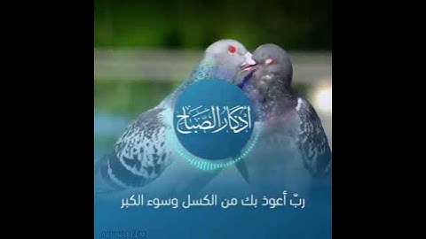 اذكار الصباح 🙂🤍#عبدالرحمن_مسعد #عبدالرحمن_مسعد_تلاوة_جديدة