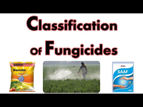 Video: Wat is een beschermend fungicide – Verschillen tussen beschermende en uitroeiende fungiciden?