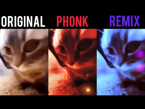 Chipi Chipi Chapa Chapa Original vs Phonk vs Remix