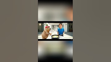 Capy cùng anh giúp bà tiết kiệm gas và cái kết #capybara