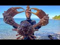 Giant King Crab | Catch Clean N’ Cook