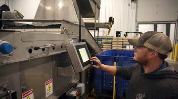 WECO Reorientating BerryTek & Impulse Sorters - Service Technician in Action