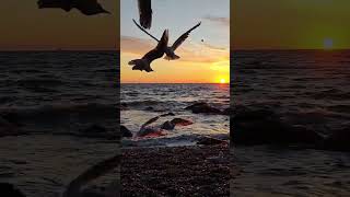 Утренний релакс морем, красота природы, музыка для души ❤️N