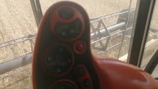 уборочная пшеницы  комбайн New Holland cr 9089