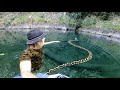 MONSTER Snake HUNTING Australia & RARE TURTLE Encounter!