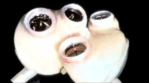 NASA | Asymmetric Dielectric Elastomer with Mulifunctional Fibrous Electrodes