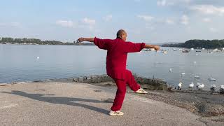 Slow Motion on Shaolin Qi Xing Quan, Seven Star Fist of Zhong Jin Dao System 中劲道体系 少林七星拳 慢动作 screenshot 4