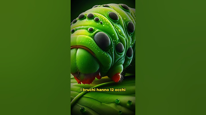 5 Curiosità #27