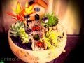 Mini jardines en macetas de cerámica y madera