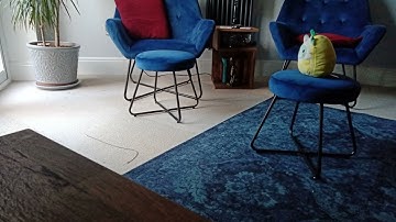 Squishmallow Hide & Seek