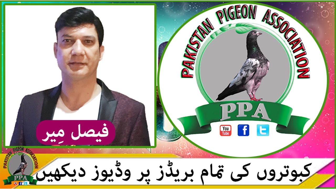 Khalifa Nouman Of Gujranwala Part2 Watch In HD Urdu/Hindi camera iphone 8 plus apk