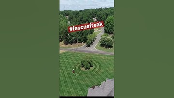 Do you bullseye stripe?