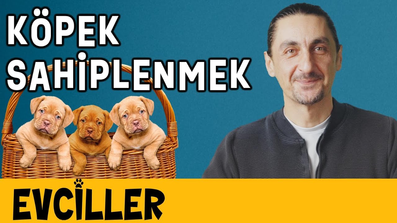Köpek Sahiplenmek - Evciller - Vet. Hekim Efe Onur - B03