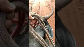 22 De Fevereiro De 2021