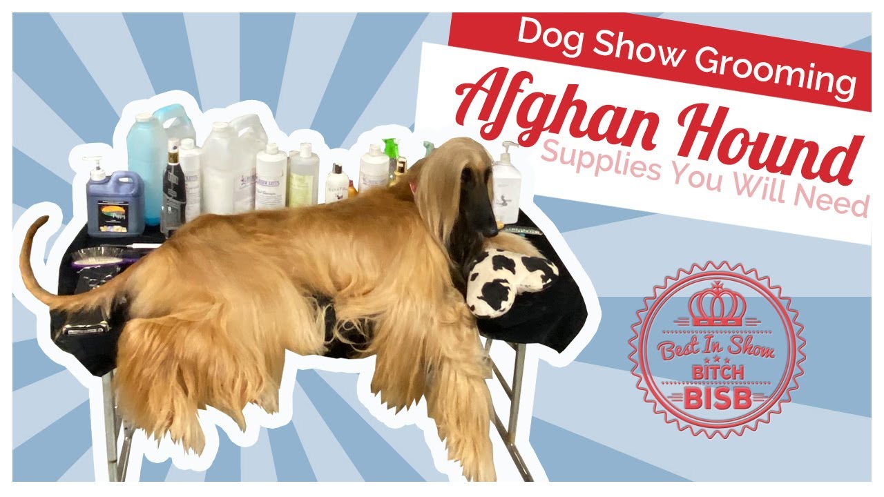 Основные средства по уходу за афганской борзой | Инструменты, товары и профессиональные советы