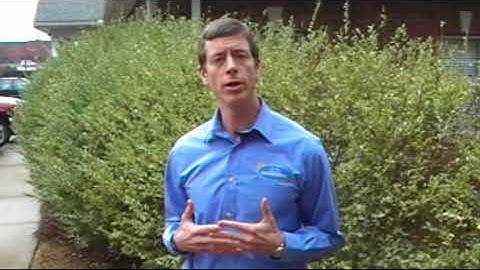 Why A Community Website- Exploring the benefits of Community & HOA websites"