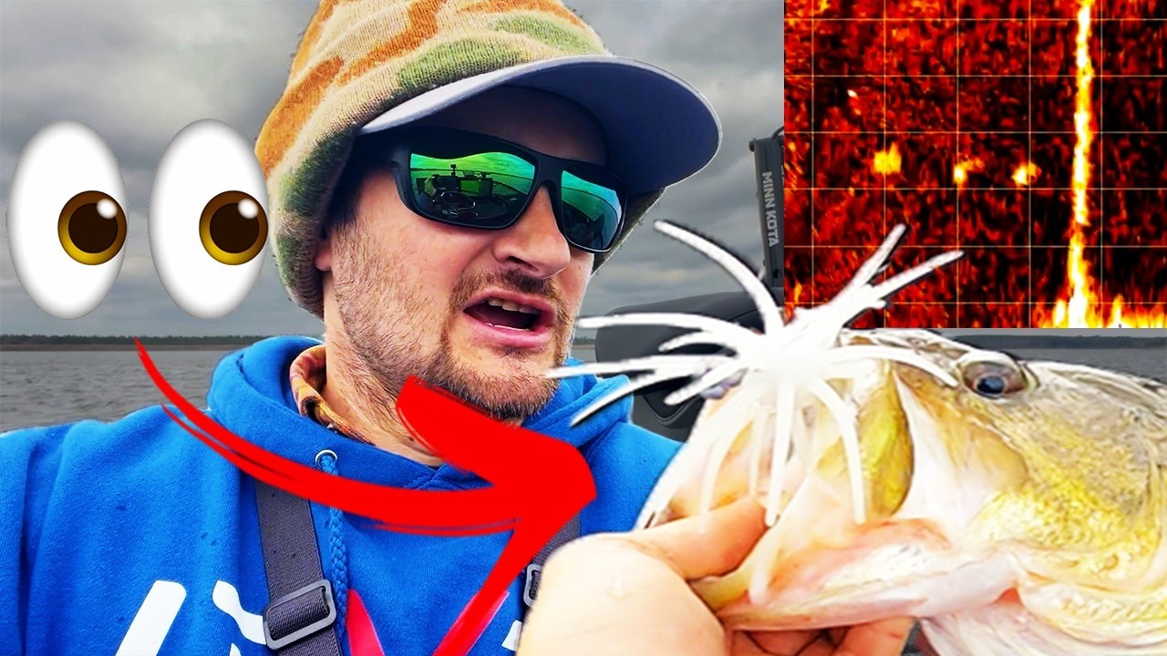 Необрезанные видеоролики о ловле окуня с помощью Livescope: Крупный окунь, пойманный на СЛЕДУЮЩУЮ...