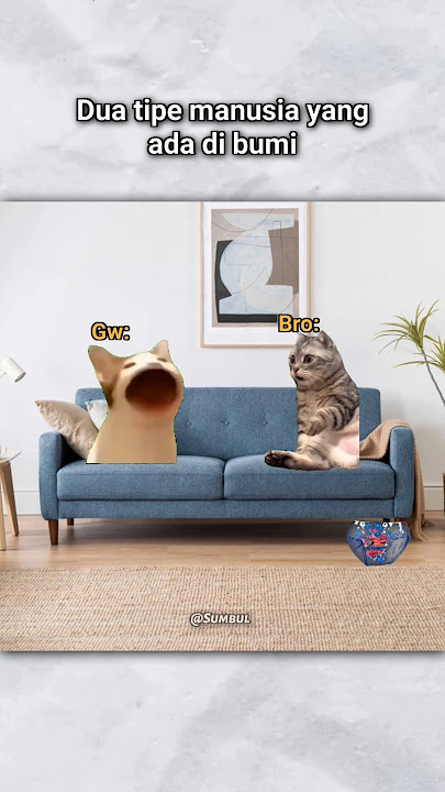 Makan banyak tpi tetep kurus☝😿#memecringe #memes #meme #catlovers #catmemes #kucing #kucinglucu