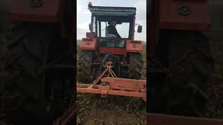 Canceviz Fidan Ltd. We Started The Season Today First Remove Of Chandler Walnut Saplings Good Luck.