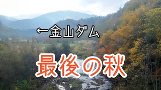 【最後の秋】金山ダム周辺車窓【JR北海道/根室本線】