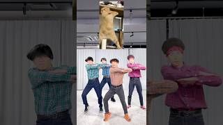 明けましておめでとうございます 新年1発目の猫ダンスです。