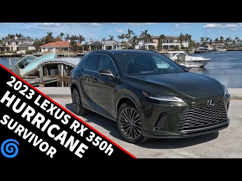 2023 Lexus RX 350h Review - Durable Luxury Done Right