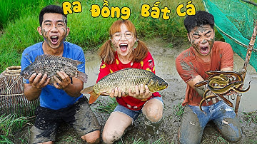 Hà Sam Đi Bắt Cá Ngoài Đồng - Ai Bắt Được Nhiều Cá Nhất ? Catch Fish With Hand