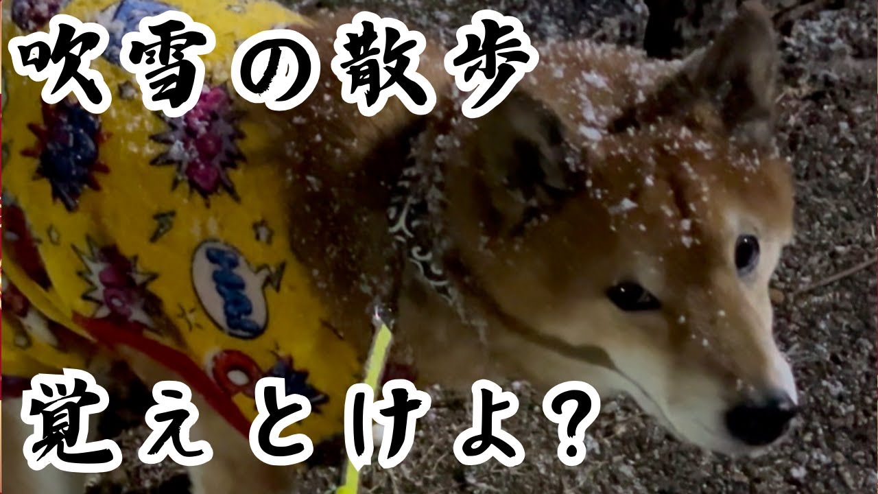 Fierce Battle] Walking on the coldest day was too hard - YouTube