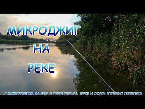МИКРОДЖИГ на реке в черте города. Щуки и окуни просто издевались!