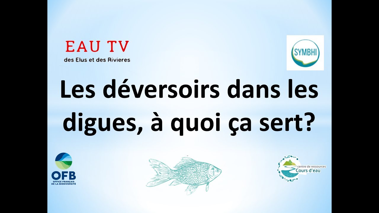 Complément Ep.11 : Les déversoirs dans les digues, à quoi ça sert ...